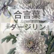 ヒメ日記 2026/04/23 15:58 投稿 坂本 ふみの Men's relaxation VEGA