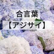 ヒメ日記 2026/04/28 10:03 投稿 坂本 ふみの Men's relaxation VEGA