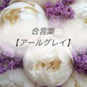 ヒメ日記 2026/05/12 17:29 投稿 坂本 ふみの Men's relaxation VEGA