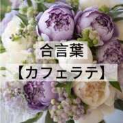 ヒメ日記 2026/05/15 07:39 投稿 坂本 ふみの Men's relaxation VEGA