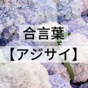 ヒメ日記 2026/05/17 14:34 投稿 坂本 ふみの Men's relaxation VEGA