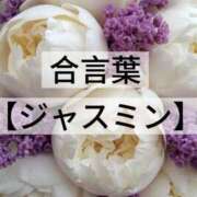 ヒメ日記 2026/05/20 17:42 投稿 坂本 ふみの Men's relaxation VEGA