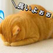 ヒメ日記 2026/09/05 07:00 投稿 坂本 ふみの Men's relaxation VEGA