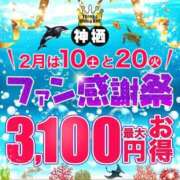 ヒメ日記 2024/02/10 17:15 投稿 しほ モアグループ神栖人妻花壇