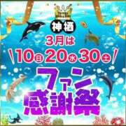 ヒメ日記 2024/03/30 10:53 投稿 しほ モアグループ神栖人妻花壇