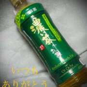 ヒメ日記 2025/01/31 10:12 投稿 しほ モアグループ神栖人妻花壇