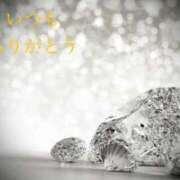 ヒメ日記 2025/02/01 07:42 投稿 しほ モアグループ神栖人妻花壇