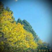 ヒメ日記 2025/02/25 07:13 投稿 しほ モアグループ神栖人妻花壇