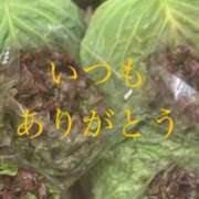 ヒメ日記 2025/02/27 11:32 投稿 しほ モアグループ神栖人妻花壇