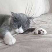 ヒメ日記 2025/03/03 23:58 投稿 しほ モアグループ神栖人妻花壇