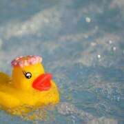 ヒメ日記 2025/04/08 21:44 投稿 しほ モアグループ神栖人妻花壇