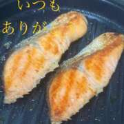 ヒメ日記 2025/04/09 05:22 投稿 しほ モアグループ神栖人妻花壇