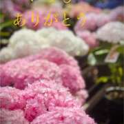 ヒメ日記 2025/05/11 18:51 投稿 しほ モアグループ神栖人妻花壇