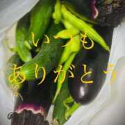 ヒメ日記 2025/07/13 06:29 投稿 しほ モアグループ神栖人妻花壇