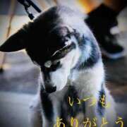 ヒメ日記 2025/07/15 23:24 投稿 しほ モアグループ神栖人妻花壇