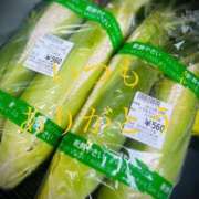 ヒメ日記 2025/08/05 07:30 投稿 しほ モアグループ神栖人妻花壇