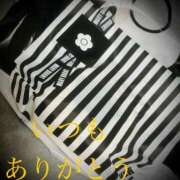 ヒメ日記 2025/08/21 09:37 投稿 しほ モアグループ神栖人妻花壇