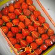 ヒメ日記 2026/01/27 23:22 投稿 しほ モアグループ神栖人妻花壇