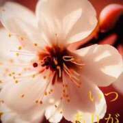 ヒメ日記 2026/04/03 09:34 投稿 しほ モアグループ神栖人妻花壇