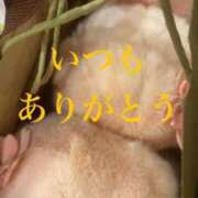 ヒメ日記 2026/04/22 07:19 投稿 しほ モアグループ神栖人妻花壇