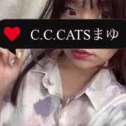 ヒメ日記 2024/10/03 17:57 投稿 まゆ C.C.CATS