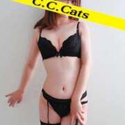 ヒメ日記 2024/10/04 12:32 投稿 まゆ C.C.CATS