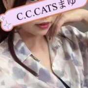 ヒメ日記 2024/10/07 12:37 投稿 まゆ C.C.CATS