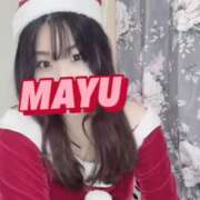 ヒメ日記 2024/12/16 21:25 投稿 まゆ C.C.CATS