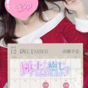 ヒメ日記 2024/12/17 12:25 投稿 まゆ C.C.CATS