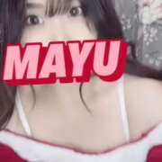 ヒメ日記 2024/12/18 12:25 投稿 まゆ C.C.CATS