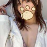 ヒメ日記 2024/12/19 23:25 投稿 まゆ C.C.CATS