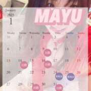 ヒメ日記 2025/01/05 17:25 投稿 まゆ C.C.CATS