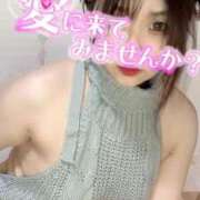 ヒメ日記 2025/04/30 12:06 投稿 まゆ C.C.CATS