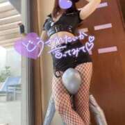 ヒメ日記 2025/05/20 18:25 投稿 まゆ C.C.CATS