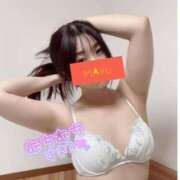 ヒメ日記 2025/06/26 12:21 投稿 まゆ C.C.CATS