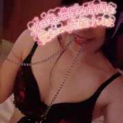 ヒメ日記 2025/06/26 19:22 投稿 まゆ C.C.CATS