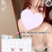 ヒメ日記 2025/07/10 19:41 投稿 まゆ C.C.CATS