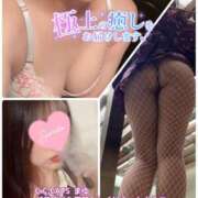 ヒメ日記 2025/10/10 19:21 投稿 まゆ C.C.CATS