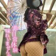 ヒメ日記 2025/11/20 19:22 投稿 まゆ C.C.CATS