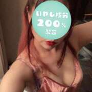 ヒメ日記 2025/11/26 19:22 投稿 まゆ C.C.CATS