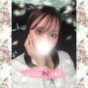 ヒメ日記 2025/04/17 11:43 投稿 ゆい sexis小山佐野店