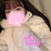 ヒメ日記 2024/12/17 15:31 投稿 ひめ 若葉