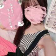 ヒメ日記 2025/01/16 16:35 投稿 ひめ 若葉