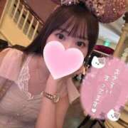 ヒメ日記 2025/02/15 16:34 投稿 ひめ 若葉