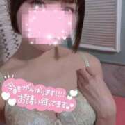 ヒメ日記 2025/02/21 16:25 投稿 ひめ 若葉