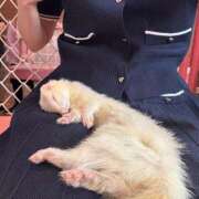 ヒメ日記 2025/06/20 21:45 投稿 ひめ 若葉