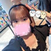 ヒメ日記 2025/08/28 09:45 投稿 ひめ 若葉