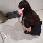 ヒメ日記 2025/09/05 22:35 投稿 ひめ 若葉