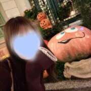 ヒメ日記 2025/10/31 15:12 投稿 ひめ 若葉