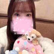 ヒメ日記 2025/12/16 21:45 投稿 ひめ 若葉